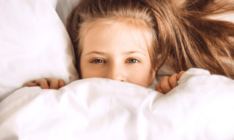 Pourquoi nos couettes et oreillers sont écologiques - Label Naturel