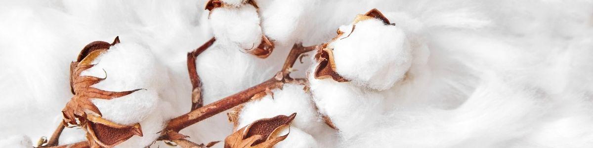 Satin VS Percale de coton : que le match commence ! - Label Naturel