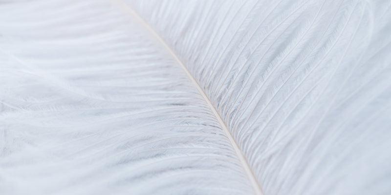 Pouvoir gonflant : Les secrets des couettes duvet - Label Naturel